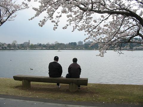 いつかこんな春