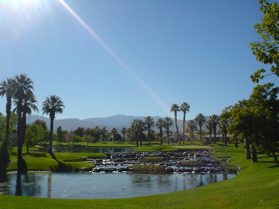 パームスプリングス1