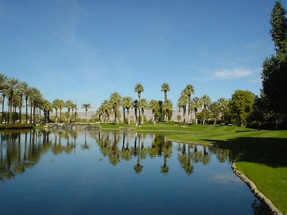 パームスプリングス2