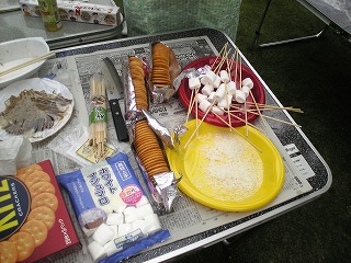 持って行ったマシュマロ・リッツ・竹串・ココナッツ