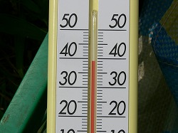 もっと上がった瞬間もありましたよ！