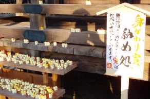 WS000082.JPG