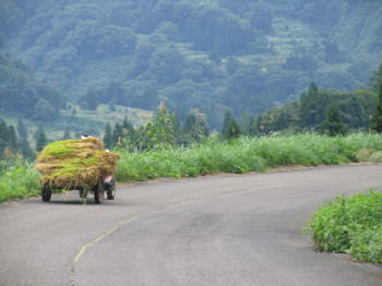 稲運び車.jpg