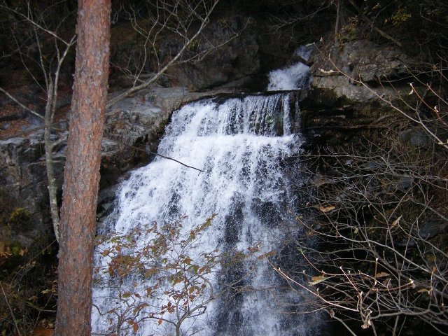 鬼怒川旅行