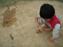 おだんごつくり