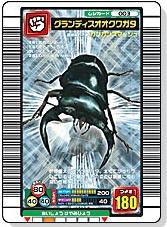 グランディスオオクワガタ