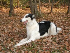 2005-05-14 15:41:37