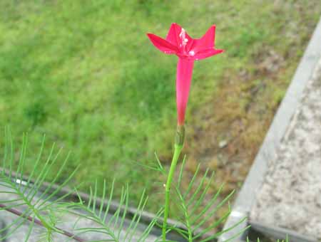 2005.9.9a