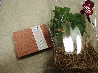 s-P1010065.jpg