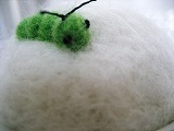 s-IMG_0669.jpg