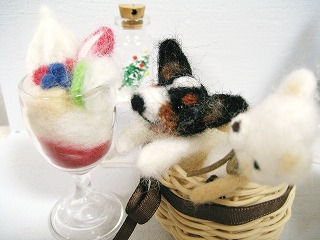 s-IMG_0076.jpg