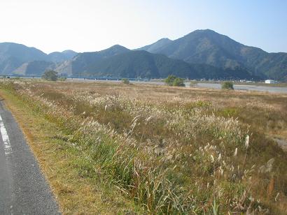 自転車でフィットネス