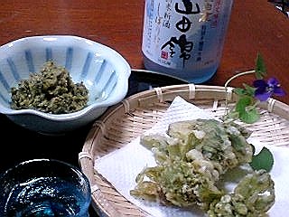 蕗の薹膳.jpg