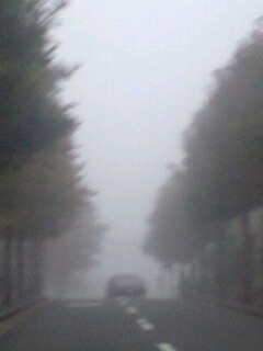 霧中.jpg