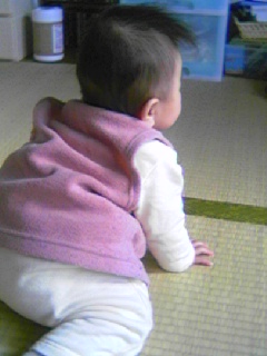 なんだあれは