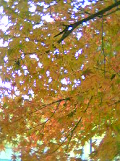 061126_1012~01.jpg