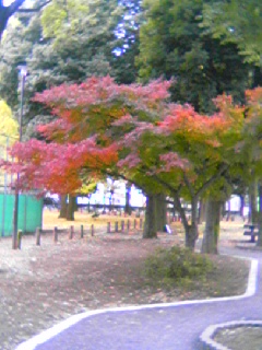 061126_1011~01.jpg