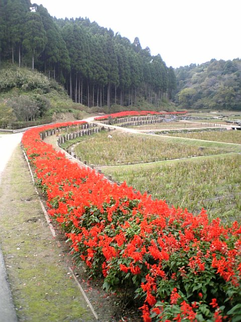 ひめはるの里