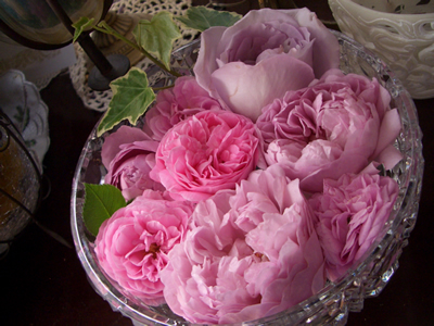 Pink　Roses