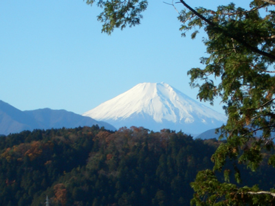 高尾山2011紅葉　富士山最高！