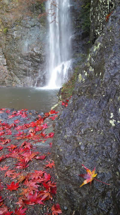 箕面の滝　もみじ　紅葉