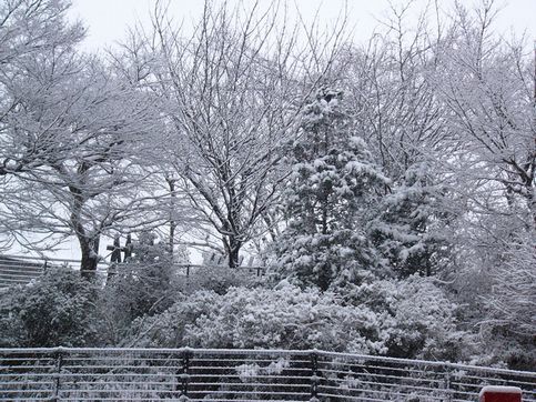 雪景色