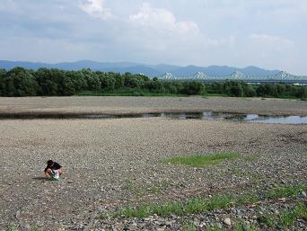 夏休みの宿題