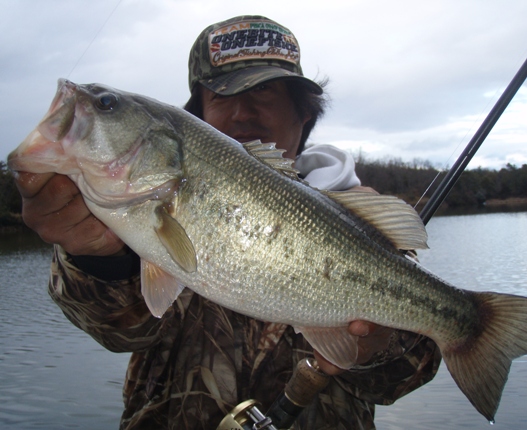 おにい１ 1875.jpg