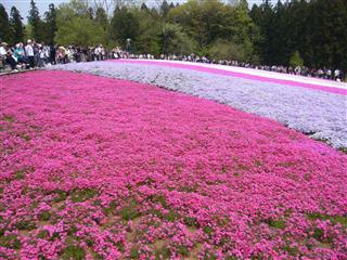 P1010669_R.jpg