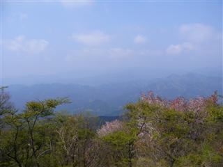 P1010665_R.jpg