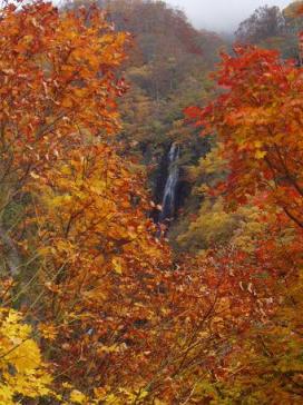 紅葉と滝.JPG