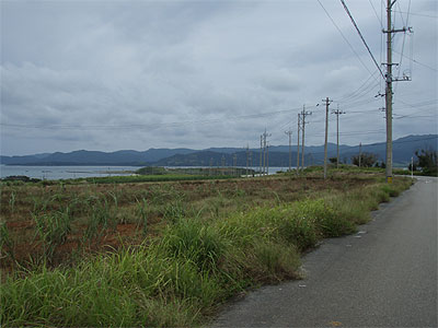 八重山080604_4ウォーキング2