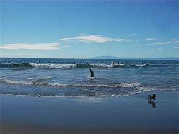 鎌倉の海