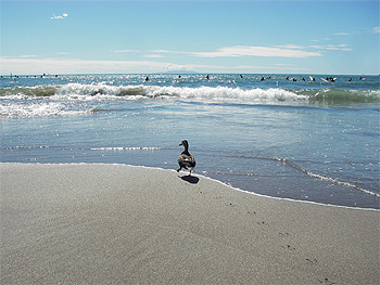 鎌倉の海・2