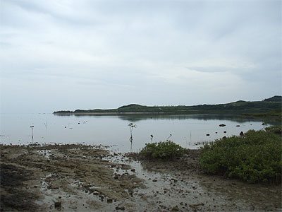 八重山080605_08細崎の浜の北側