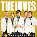 hives-02