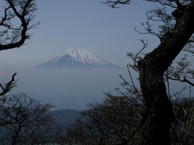 箱根・神山からの富士山