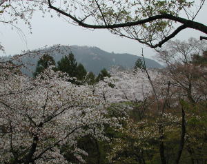 高尾山