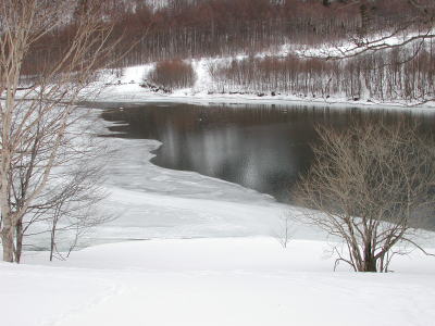 凍る大正池