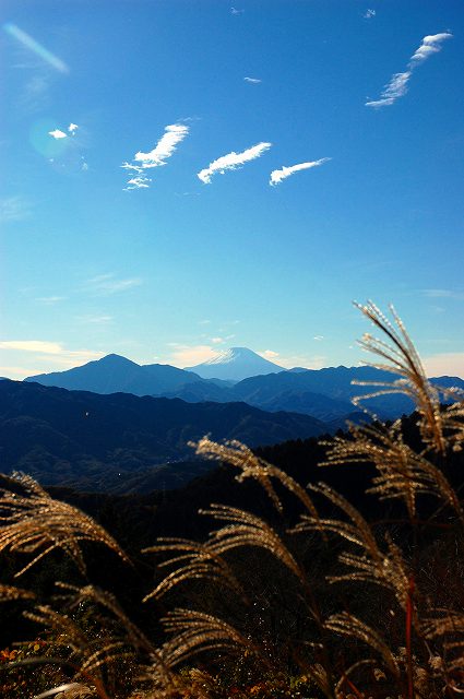 高尾山からの富士山