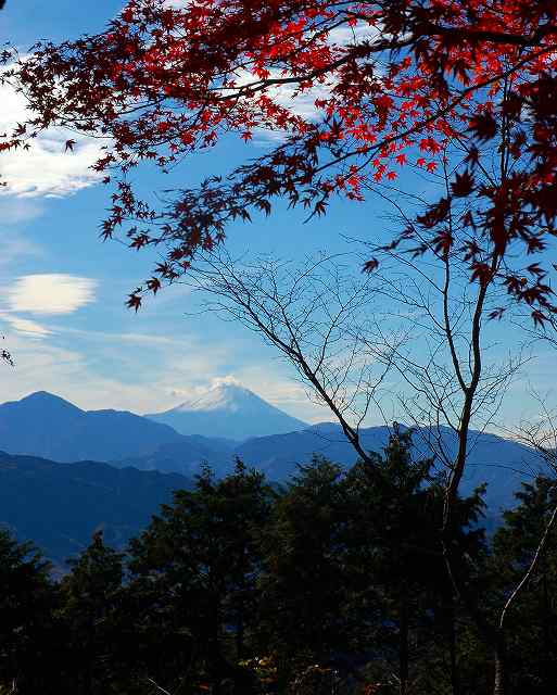 高尾山からの富士山3