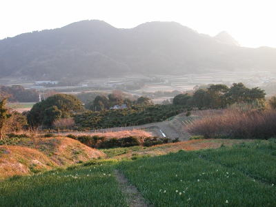 里山風景