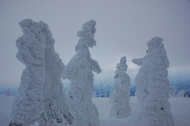 森吉山の樹氷