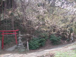 仙元山・遊歩道入口