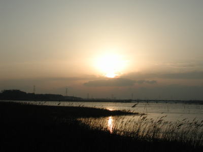 DSCN2632手賀沼の夕暮れ.jpg