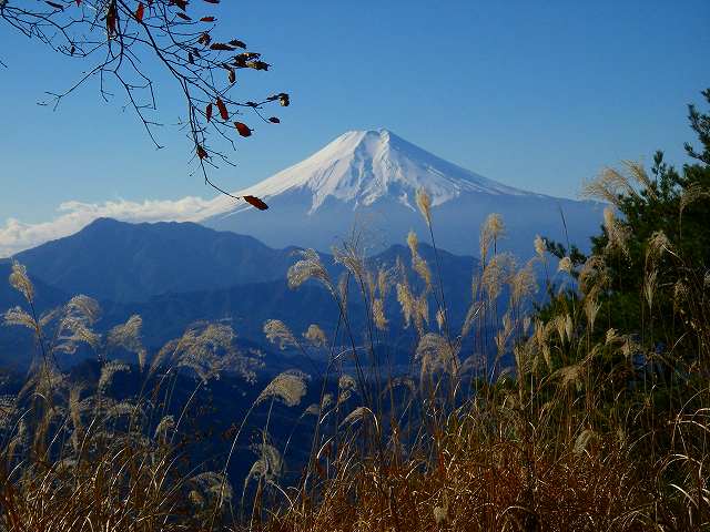 百蔵山～扇山 022.jpg