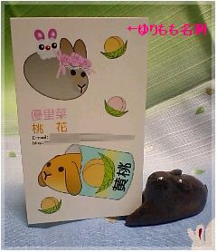 大きさはこの位:名刺を挟んでおりまぁ~す☆