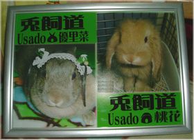 「兎飼道」 フォトフレーム が 完成☆