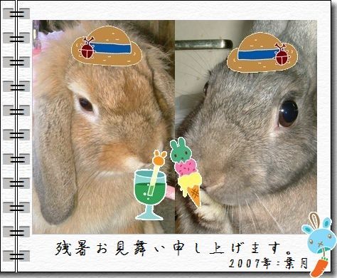 残暑お見舞い申し上げます☆