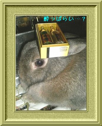 『酔っぱらい うさぎ・・・。』